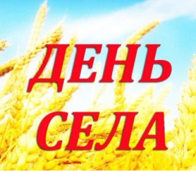 171e293f380530906117cf7686c91456.jpg