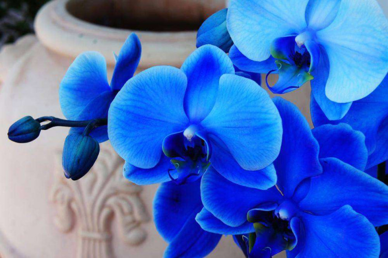 thumb_l_20530